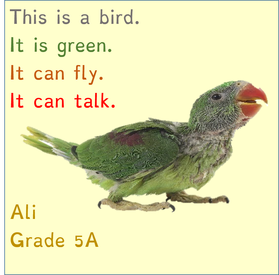 Masada’s Jungle Book by Meital - Ourboox.com