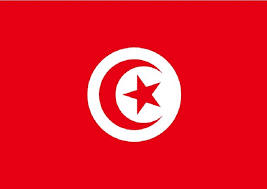 “מסביב לארצות הים התיכון” by tohar shufan zohar - Illustrated by טוהר שופן זוהר - Ourboox.com