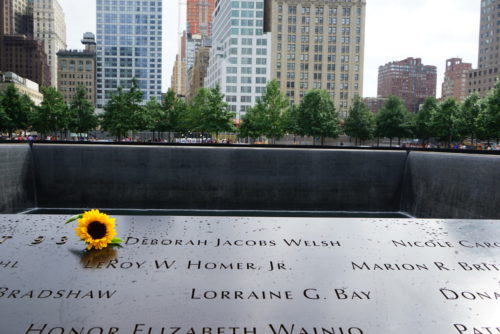 From 10 to 11 by Maya falcone - Illustrated by Maya Falcone - Ourboox.com