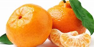 انواع الحمضيات by maysa - Illustrated by رولا  ادبية - Ourboox.com