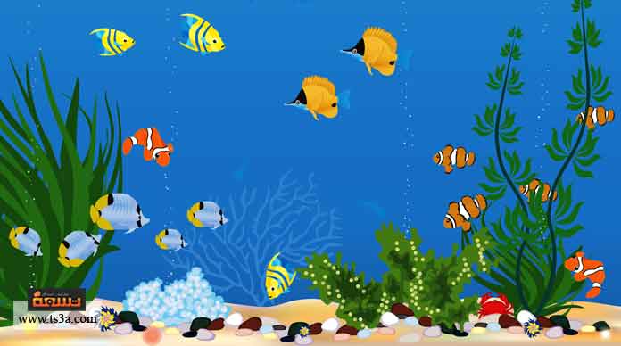 الاختلاف بين الكائنات الحية by ebtehal mressat - Illustrated by ابتهال مريسات - Ourboox.com