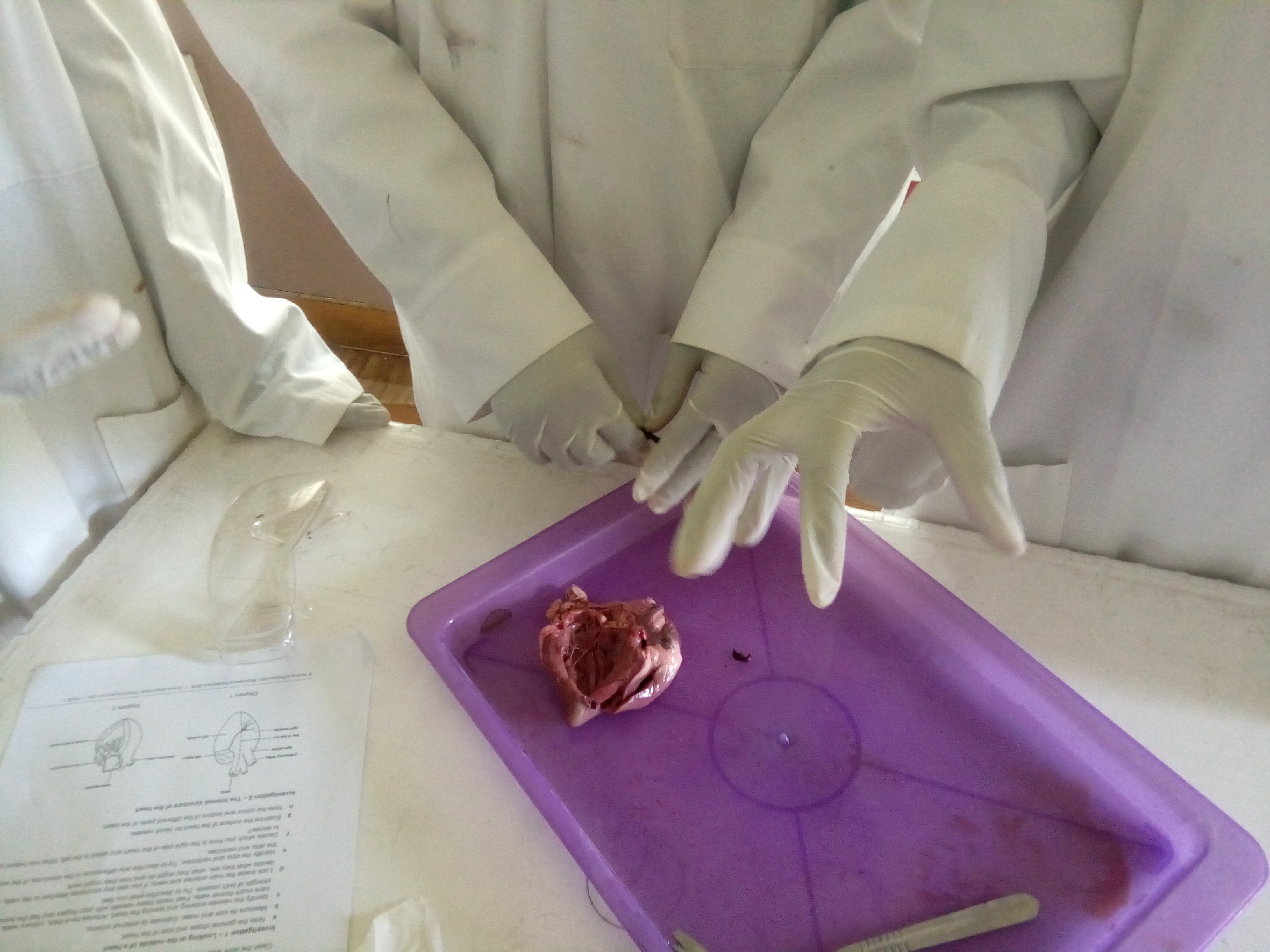 A Trip in Time: Me in CIS by Timothy F. George - Ourboox.com