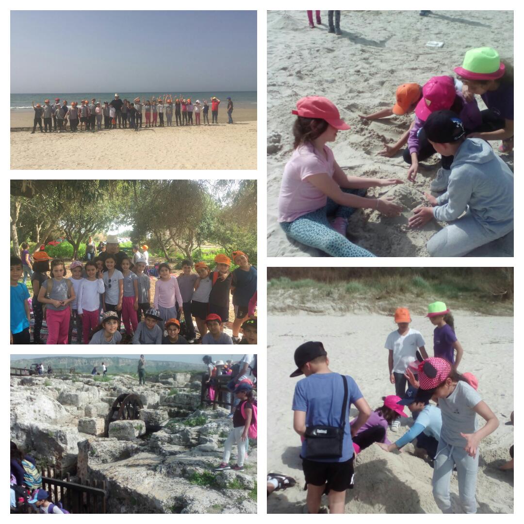 סיכום שנה ביה”ס הדקל by hananmrv - Ourboox.com