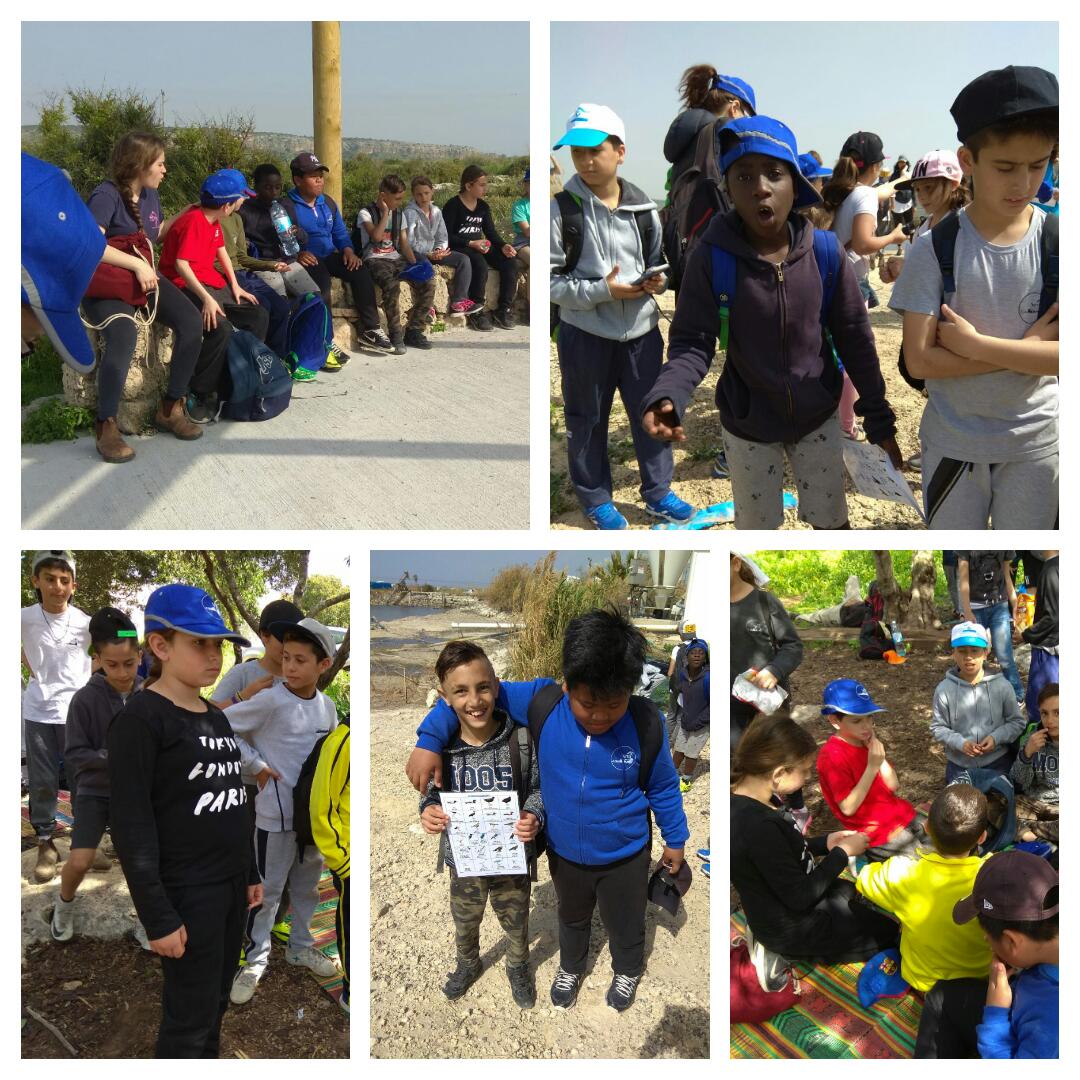 סיכום שנה ביה”ס הדקל by hananmrv - Ourboox.com