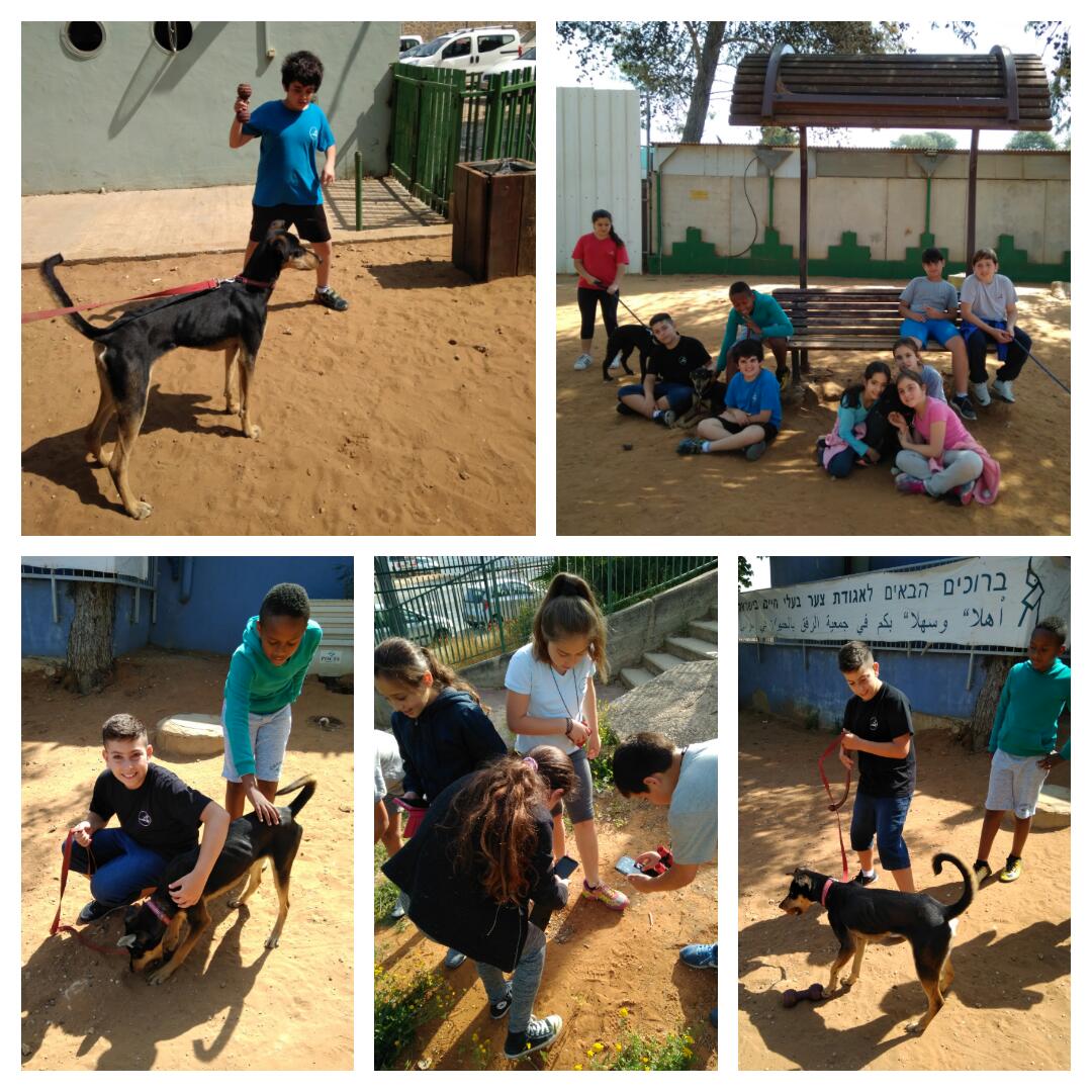 סיכום שנה ביה”ס הדקל by hananmrv - Ourboox.com