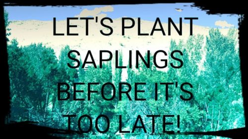 LET’S PLANT SAPLINGS BEFORE IT’S TOO LATE by tugba - Ourboox.com