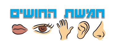 חמשת החושים by reut kalaf - Illustrated by רעות כלף - Ourboox.com