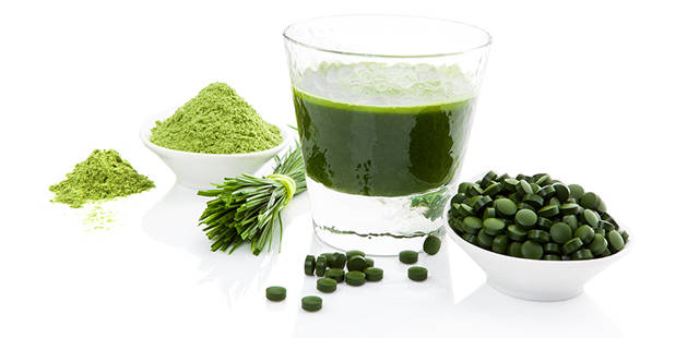 الاغذية الموجود بها البكتيريا