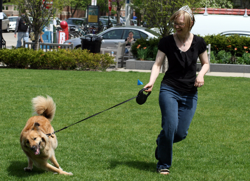 כלבים by Lia sharabi - Ourboox.com