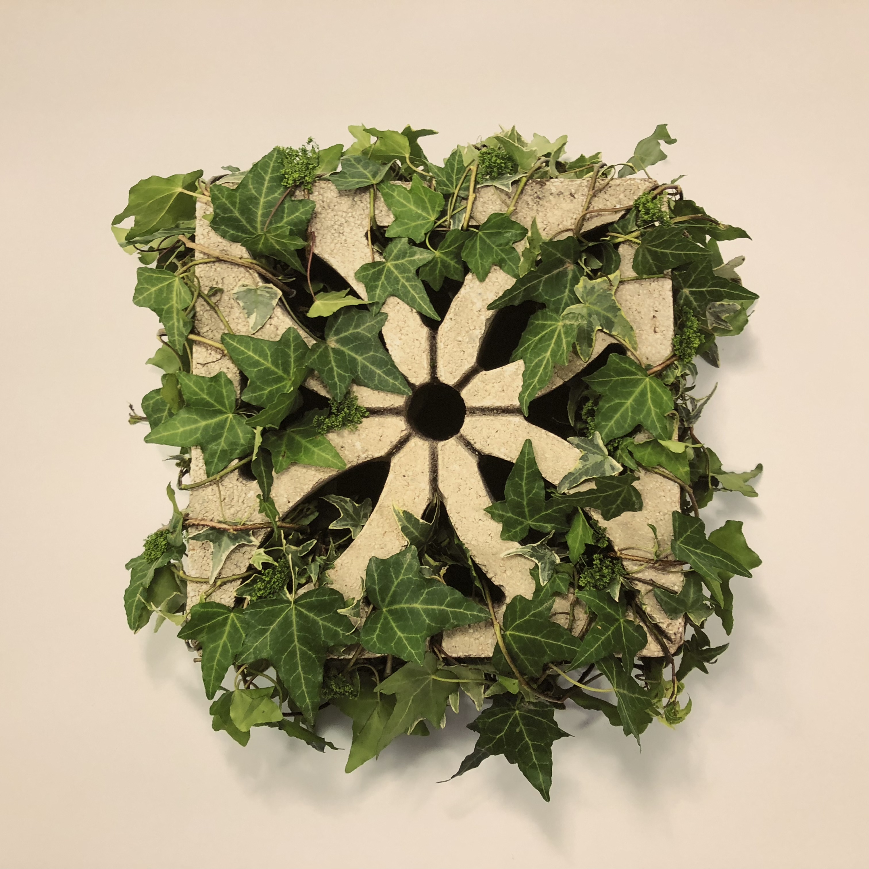 First Impressions, Shenkar College Final Projects, 2018 by Mel Rosenberg - מל רוזנברג - Ourboox.com