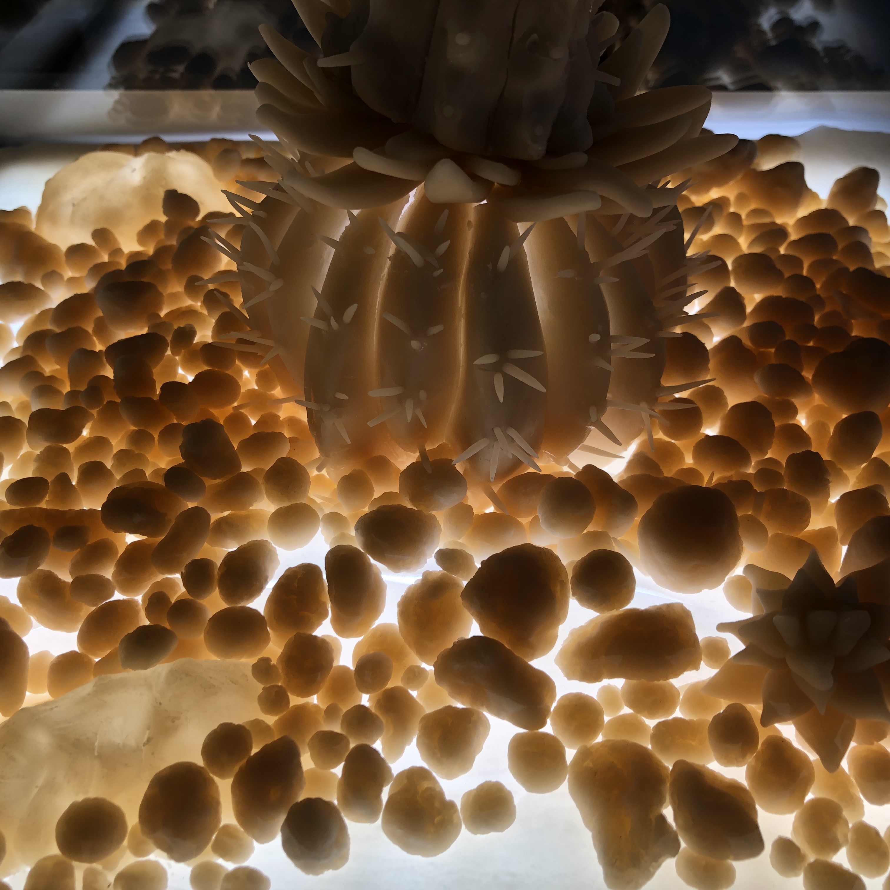 First Impressions, Shenkar College Final Projects, 2018 by Mel Rosenberg - מל רוזנברג - Ourboox.com