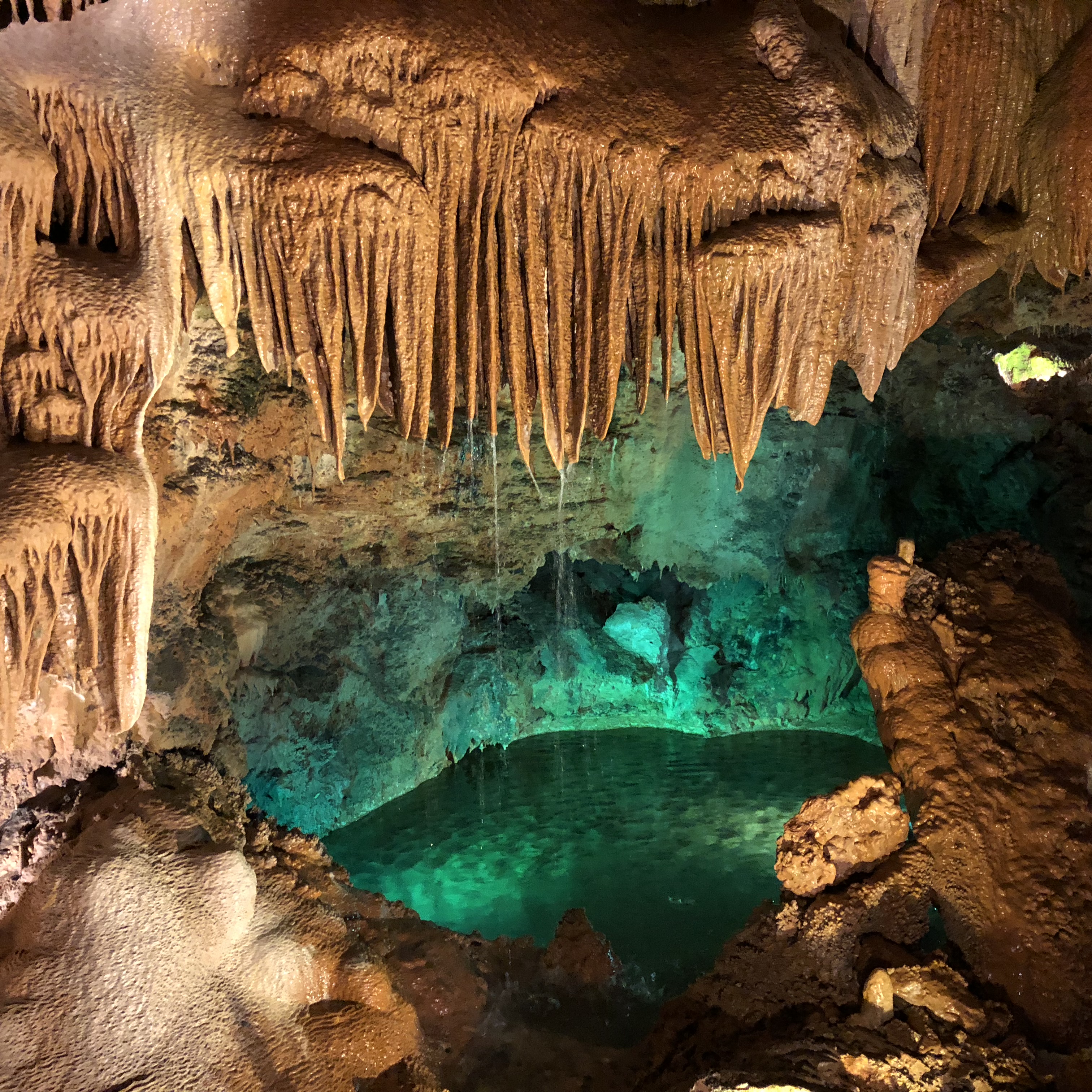 Kinnernet Portugal 2018 – Odds and Ends by Mel Rosenberg - מל רוזנברג - Ourboox.com