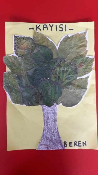 MONTESSORİ İLE GÜNLÜK YAŞAM BECERİLERİ SONBAHAR ETKİNLİĞİ by NEVİM YILDIRIM SARITEPE - Ourboox.com