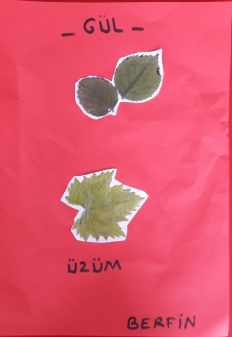 MONTESSORİ İLE GÜNLÜK YAŞAM BECERİLERİ SONBAHAR ETKİNLİĞİ by NEVİM YILDIRIM SARITEPE - Ourboox.com