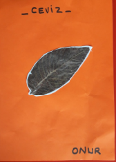 MONTESSORİ İLE GÜNLÜK YAŞAM BECERİLERİ SONBAHAR ETKİNLİĞİ by NEVİM YILDIRIM SARITEPE - Ourboox.com