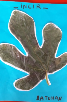 MONTESSORİ İLE GÜNLÜK YAŞAM BECERİLERİ SONBAHAR ETKİNLİĞİ by NEVİM YILDIRIM SARITEPE - Ourboox.com