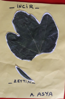 MONTESSORİ İLE GÜNLÜK YAŞAM BECERİLERİ SONBAHAR ETKİNLİĞİ by NEVİM YILDIRIM SARITEPE - Ourboox.com