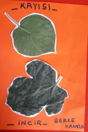 MONTESSORİ İLE GÜNLÜK YAŞAM BECERİLERİ SONBAHAR ETKİNLİĞİ by NEVİM YILDIRIM SARITEPE - Ourboox.com