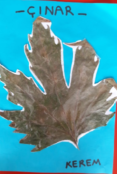 MONTESSORİ İLE GÜNLÜK YAŞAM BECERİLERİ SONBAHAR ETKİNLİĞİ by NEVİM YILDIRIM SARITEPE - Ourboox.com