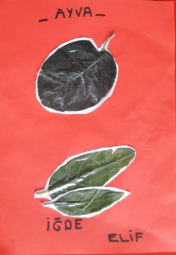 MONTESSORİ İLE GÜNLÜK YAŞAM BECERİLERİ SONBAHAR ETKİNLİĞİ by NEVİM YILDIRIM SARITEPE - Ourboox.com