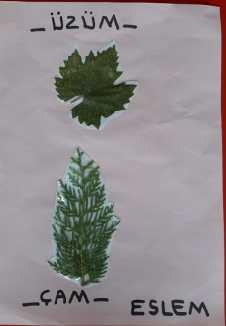 MONTESSORİ İLE GÜNLÜK YAŞAM BECERİLERİ SONBAHAR ETKİNLİĞİ by NEVİM YILDIRIM SARITEPE - Ourboox.com