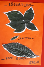 MONTESSORİ İLE GÜNLÜK YAŞAM BECERİLERİ SONBAHAR ETKİNLİĞİ by NEVİM YILDIRIM SARITEPE - Ourboox.com