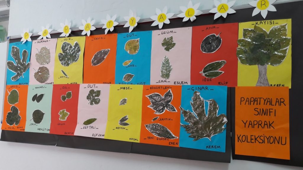 MONTESSORİ İLE GÜNLÜK YAŞAM BECERİLERİ SONBAHAR ETKİNLİĞİ by NEVİM YILDIRIM SARITEPE - Ourboox.com