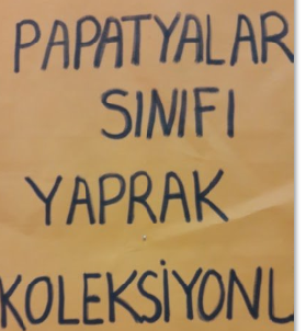 MONTESSORİ İLE GÜNLÜK YAŞAM BECERİLERİ SONBAHAR ETKİNLİĞİ by NEVİM YILDIRIM SARITEPE - Ourboox.com