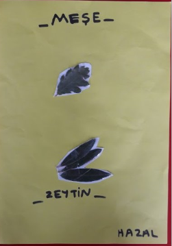 MONTESSORİ İLE GÜNLÜK YAŞAM BECERİLERİ SONBAHAR ETKİNLİĞİ by NEVİM YILDIRIM SARITEPE - Ourboox.com