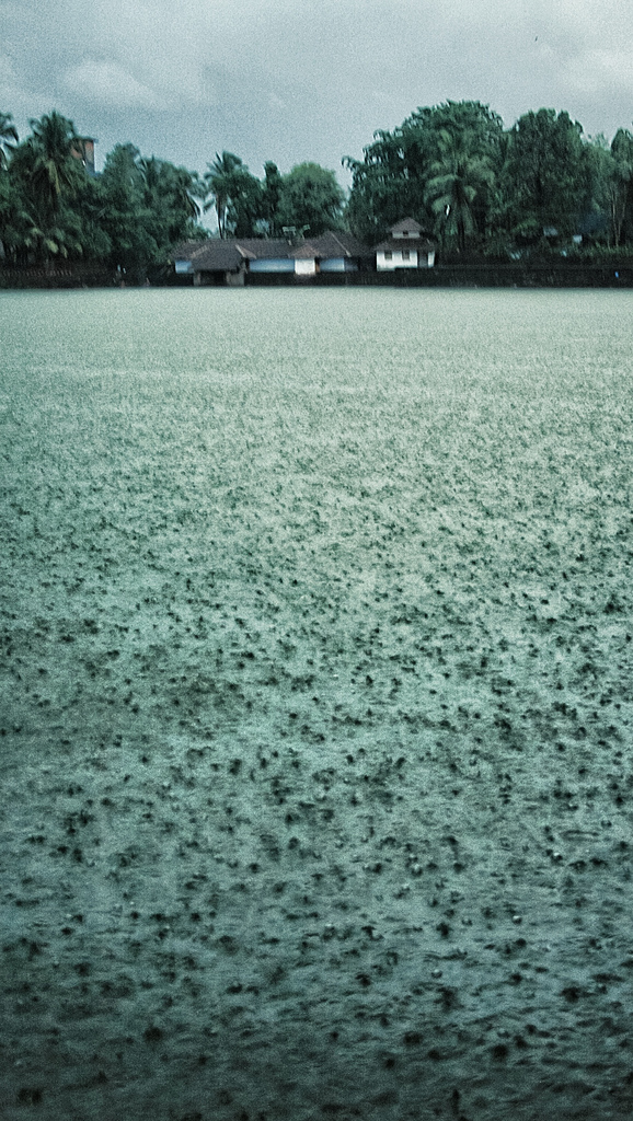 The Life of a Water Molecule by Catherine K. - Ourboox.com