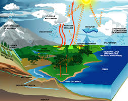 Life depends on our water cycle by Jacob Murray - Ourboox.com