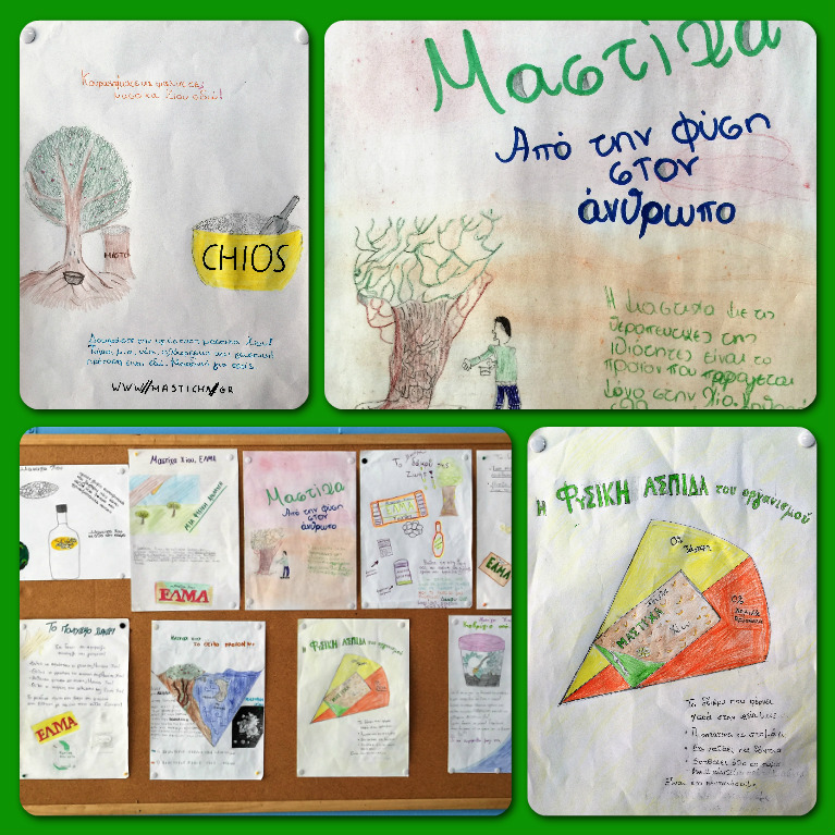 Green Skills for Social Agriculture -26th PS of Kallithea – 2nd year activities by 26th Primay School of Kallithea - Ourboox.com