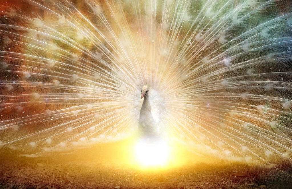 האר את אורך by mayula - Ourboox.com