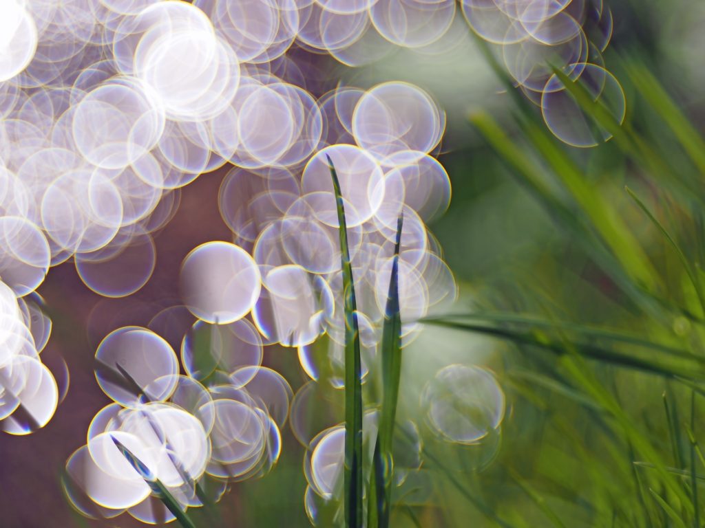 האר את אורך by mayula - Ourboox.com