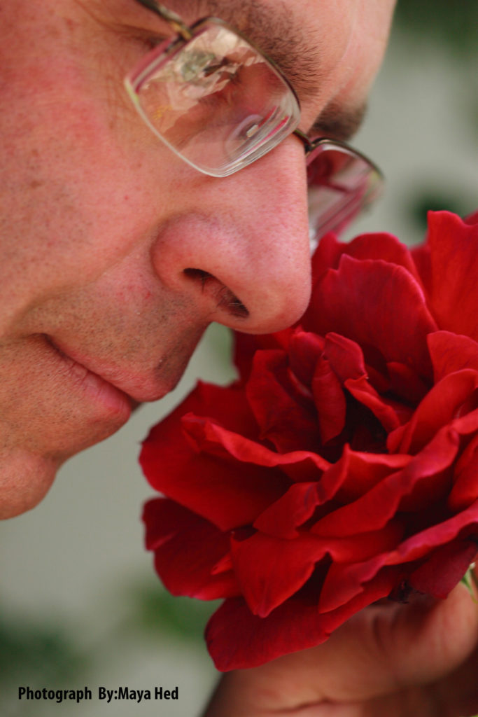 Embed by Mel Rosenberg - מל רוזנברג - Ourboox.com