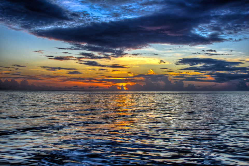 My Journey Through The Water Cycle by Shreya Kulkarni - Ourboox.com