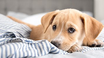 Know the Difference by Terah Maaske - Ourboox.com