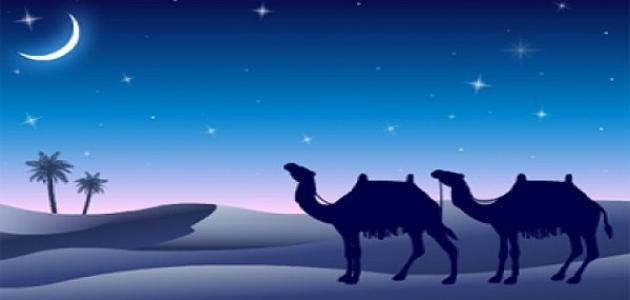 الهجرة النبوية by sara arafeh - Illustrated by سارة عرفة - Ourboox.com