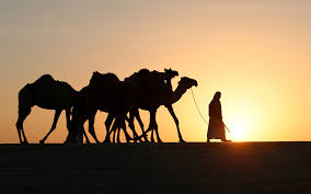 الهجرة النبوية by naghamalreshaq - Ourboox.com