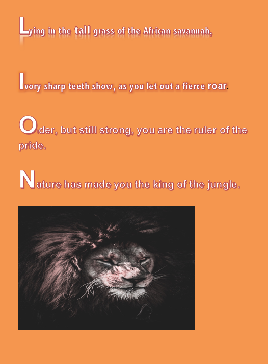 A collection of books for kids by Ian Brady - Ourboox.com