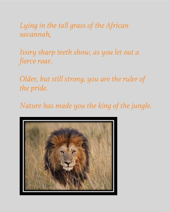 COLOR BOOK by Brandon Mills - Ourboox.com