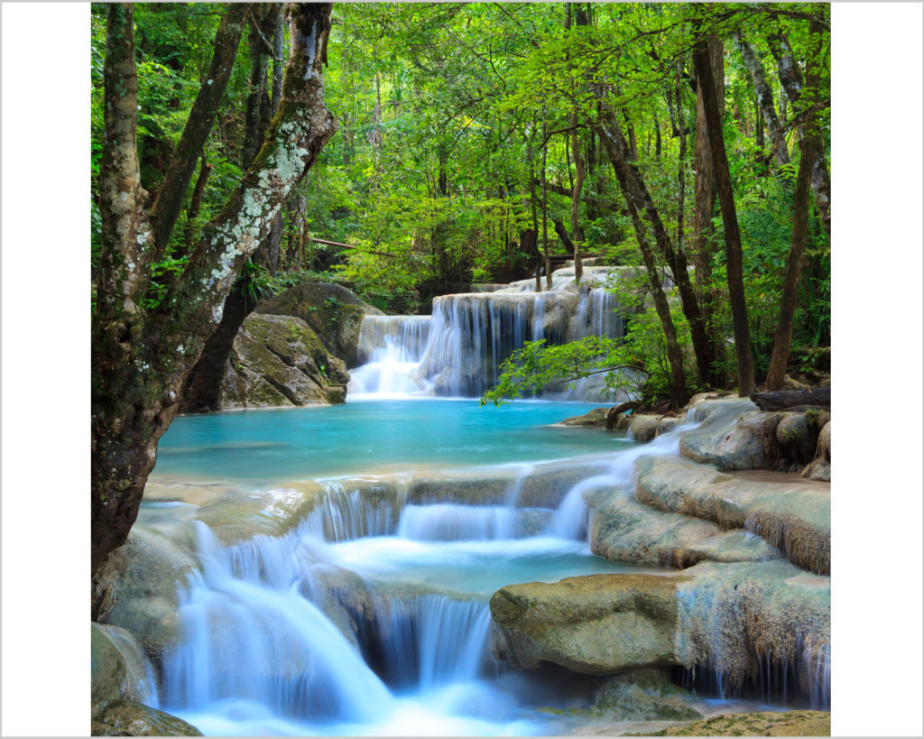 PROGETTO:EDUCAZIONE AMBIENTALE