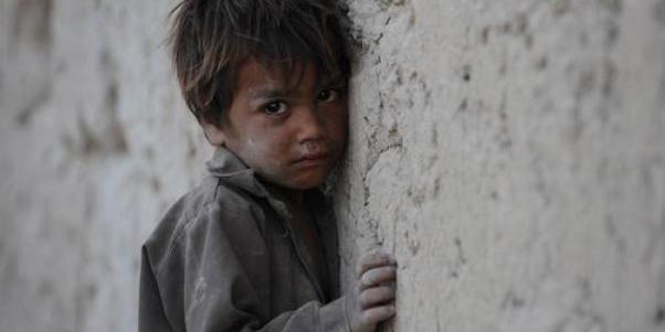 Nel mare ci sono i coccodrilli by Alioune - Ourboox.com