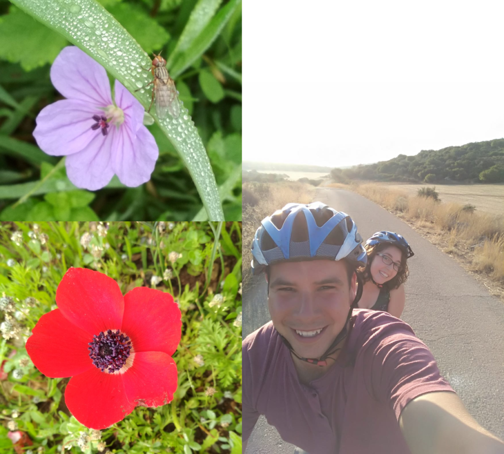 צוות 17 יוצאים לטייל by dikla oved ziv - Ourboox.com