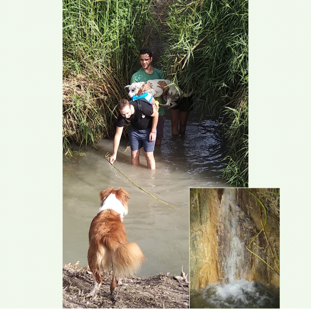 צוות 17 יוצאים לטייל by dikla oved ziv - Ourboox.com