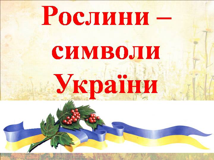 Рослинна символіка українського фольклору (спільний проект учнів 6-В класу з національно-патріотичного виховання) by Олена Лисянська - Ourboox.com