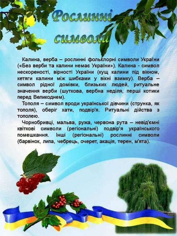 Рослинна символіка українського фольклору (спільний проект учнів 6-В класу з національно-патріотичного виховання) by Олена Лисянська - Ourboox.com