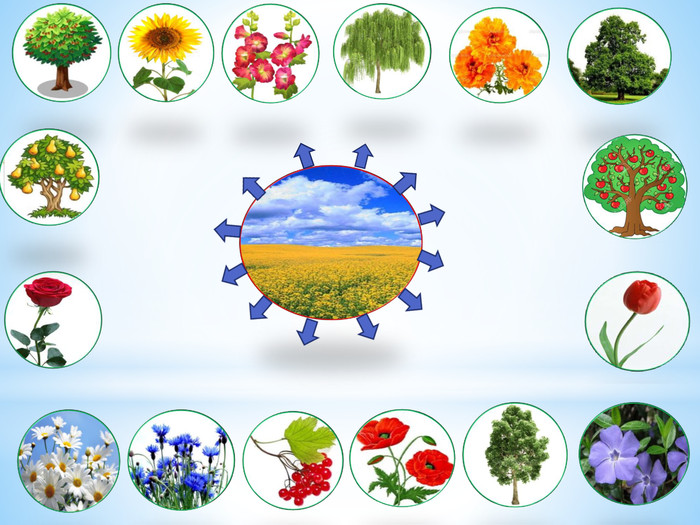 Рослинна символіка українського фольклору (спільний проект учнів 6-В класу з національно-патріотичного виховання) by Олена Лисянська - Ourboox.com