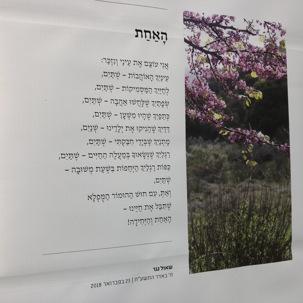 An Exhibition of Sculptures and Poetry by Shaul Nagar in Raanana by Mel Rosenberg - מל רוזנברג - Ourboox.com