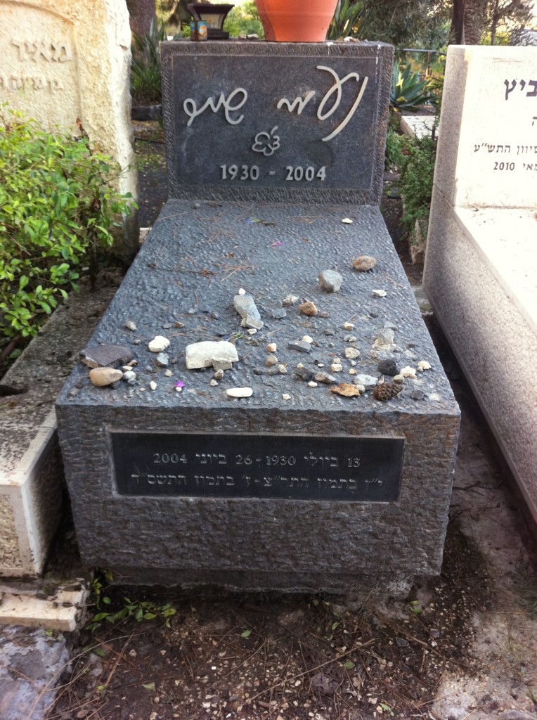 נעמי שמר by hodaya ashash - Illustrated by hodaya ashash - Ourboox.com